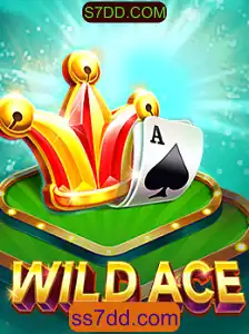 Explorando o Universo de WildAce: O Inovador Jogo de Cartas Online